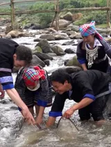 Community tourism thrives from young ethnic entrepreneurs | Vibes of Vietnam