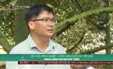 Nóng cùng V8 trưa - 31/5/2025