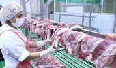 Thịt, trứng vào chợ, bếp ăn phải truy xuất được nguồn gốc