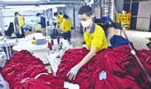 Xuất khẩu dệt may lãi lớn ở quý đầu năm