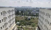 13 đơn vị tại TP. Hồ Chí Minh đăng ký xây nhà cho thuê