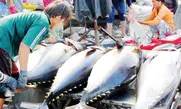 Bản tin Thị trường 24h ngày 15/05/2026