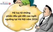 Hệ luỵ từ những phiên đấu giá đất cao ngất ngưởng tại Hà Nội năm 2024