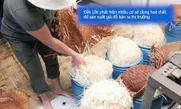Đắk Đắk phát hiện nhiều cơ sở dùng hoá chất để sản xuất giá đỗ bán ra thị trường