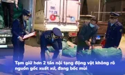 Tạm giữ hơn 2 tấn nội tạng động vật không rõ nguồn gốc xuất xứ đang bốc mùi