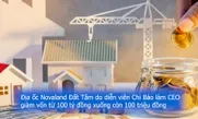 Địa ốc Novaland Đất Tâm do diễn viên Chi Bảo làm CEO giảm vốn từ 100 tỷ đồng xuống còn 100 triệu đồng
