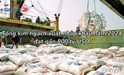 Tổng kim ngạch xuất nhập khẩu năm 2024 đạt gần 800 tỷ USD