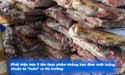 Phát hiện hơn 3 tấn thực phẩm không bảo đảm chất lượng chuẩn bị “tuồn” ra thị trường