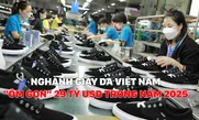 Ngành da giày Việt Nam “ôm gọn” 29 tỷ USD trong năm 2025
