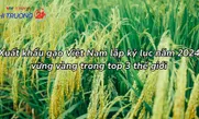 Xuất khẩu gạo Việt Nam lập kỷ lục năm 2024, vững vàng trong top 3 thế giới