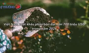 Xuất khẩu phân bón của Việt Nam thu về hơn 700 triệu USD