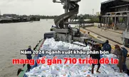 Xuất khẩu phân bón mang về gần 710 triệu USD trong năm 2024