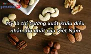 Mỹ là thị trường xuất khẩu điều nhân lớn nhất của Việt Nam