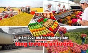 Năm 2024 xuất khẩu nông sản tăng trưởng ấn tượng