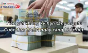 Tiền gửi không kỳ hạn tăng mạnh: Cuộc đua CASA ngày càng khốc liệt