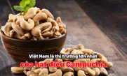 Việt Nam là thị trường lớn nhất của hạt điều Campuchia