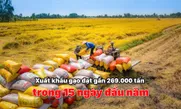 Xuất khẩu gạo đạt gần 269.000 tấn trong 15 ngày đầu năm