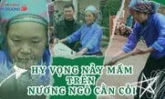 Hy vọng nảy mầm trên nương ngô cằn cỗi
