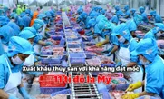 Xuất khẩu thủy sản với khả năng đạt mốc 11 tỷ USD