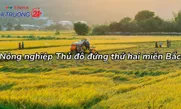 Nông nghiệp Thủ đô đứng thứ hai miền Bắc