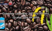 Giá nông sản ngày 2/2: Giá hồ tiêu, cà phê, gạo ổn định