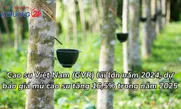 Cao su Việt Nam (GVR) lãi lớn năm 2024, dự báo giá mủ cao su tăng 16,5% trong năm 2025