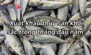 Xuất khẩu thủy sản khởi sắc trong tháng đầu năm
