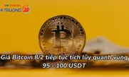 Giá Bitcoin 8/2 tiếp tục tích lũy quanh vùng 95 - 100 USDT