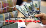 Doanh nghiệp Việt đã đầu tư hơn 22,68 tỷ USD ra nước ngoài