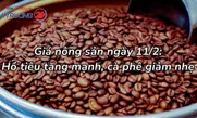 Giá nông sản ngày 11/2: Hồ tiêu tăng mạnh, cà phê giảm nhẹ