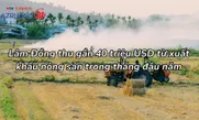 Lâm Đồng thu gần 40 triệu USD từ xuất khẩu nông sản trong tháng đầu năm