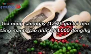 Giá nông sản ngày 12/2: Giá hồ tiêu tăng mạnh, cao nhất 164.000 đồng/kg