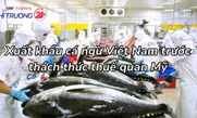 Xuất khẩu cá ngừ Việt Nam trước thách thức thuế quan Mỹ