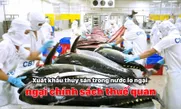 Xuất khẩu thủy sản trong nước lo ngại chính sách thuế quan