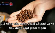 Giá nông sản ngày 15/2: Cà phê và hồ tiêu đồng loạt giảm mạnh