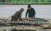 Hà Nội thúc đẩy phát triển nguồn lợi thủy sản
