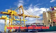 Các thị trường nhập khẩu tỷ USD của Việt Nam đầu năm 2025