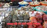 Xuất khẩu thủy sản sang Mỹ có thể tăng mạnh