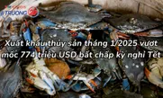 Xuất khẩu thủy sản tháng 1/2025 vượt mốc 774 triệu USD bất chấp kỳ nghỉ Tết
