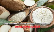 Việt Nam xuất khẩu hơn 295.000 tấn mì và sản phẩm từ mì trong tháng 1/2025