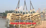 Xuất khẩu xi măng, clinker tháng 1/2025 giảm sâu