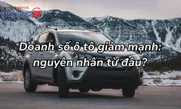Doanh số ô tô giảm mạnh: nguyên nhân từ đâu?