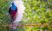 EU từ bỏ kế hoạch cắt giảm thuốc trừ sâu, doanh nghiệp xuất khẩu Việt Nam cần nắm bắt