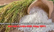 Tháng 1/2025, xuất khẩu gạo của Việt Nam sang thị trường Campuchia đạt hơn 2 triệu USD, tăng 100%