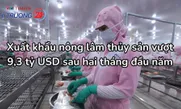 Xuất khẩu nông lâm thủy sản vượt 9,3 tỷ USD sau hai tháng đầu năm