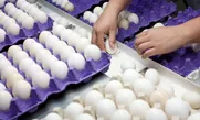 Bản tin Thị trường 24h ngày 16/05/2026