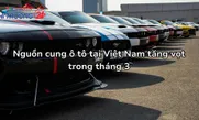 Nguồn cung ô tô tại Việt Nam tăng vọt trong tháng 3