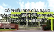Cổ phiếu RDP của Rạng Đông Holding đứng trước bờ vực hủy niêm yết