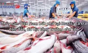 Thủy sản Việt Nam bứt phá tại Brazil: Cá tra dẫn đầu, dư địa tăng trưởng còn lớn