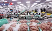 Mỹ hoãn thuế đối ứng 90 ngày: Cơ hội xuất khẩu cá tra Việt Nam